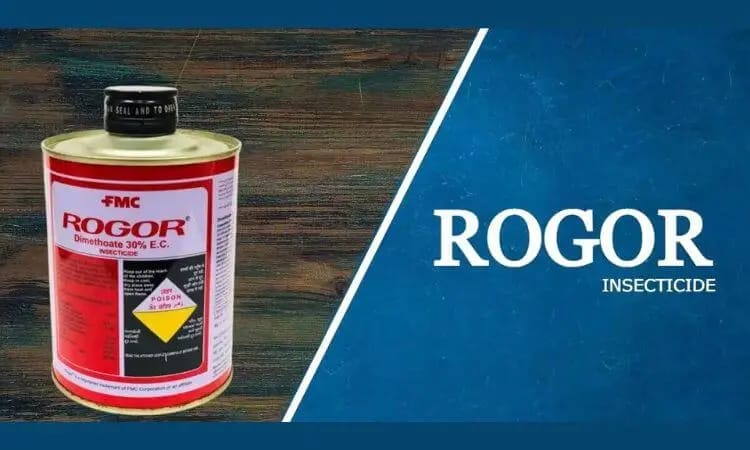 Ragor Insecticide
